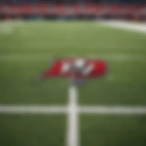 Tampa Bay Buccaneers logo on a football field