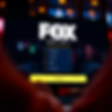 User Registration Interface of Fox Bet User Registration Interface of Fox Bet