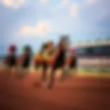 Thoroughbreds racing at a New Orleans track